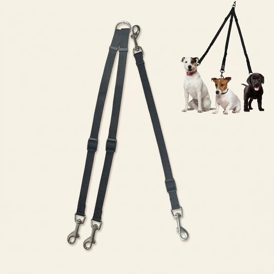 Triple dog lead tangle-free 3-way splitter leash studio shot
