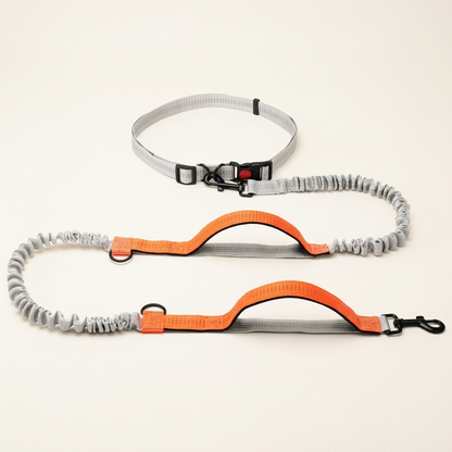 Hands-free dog lead in blue and grey - My Petsworth