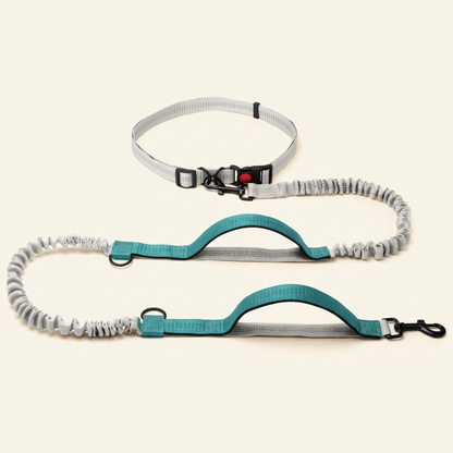 Hands-free dog lead in green and grey - My Petsworth