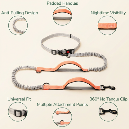 Bungee section absorbing pulls on hands-free lead - My Petsworth