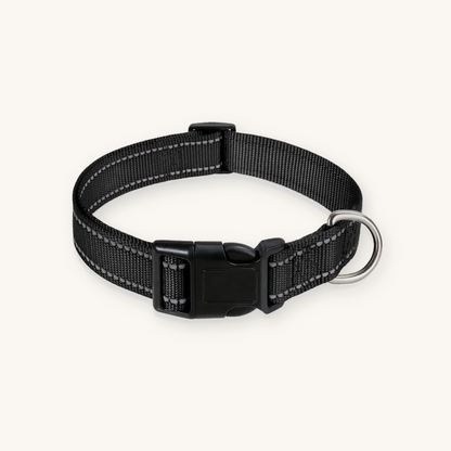 Black reflective dog collar on cream background — My Petsworth