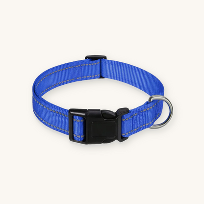 Blue reflective dog collar on cream background — My Petsworth