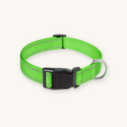 Green reflective dog collar on cream background — My Petsworth