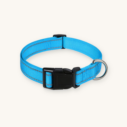 Sky blue reflective dog collar on cream background — My Petsworth