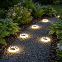Warm white solar paw print light glowing in a garden border