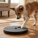 Dog scratching at the nail scratch board on the floor to reach the hidden snack