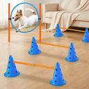 adjustable jump bar agility training set for dogs, lifestyle photo