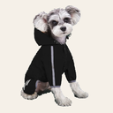 Miniature schnauzer wearing black waterproof dog raincoat — My Petsworth