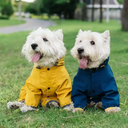 Two Westies wearing yellow and blue dog raincoat outdoors — My Petsworth