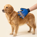 Blue grooming glove being used on a golden retriever — My Petsworth