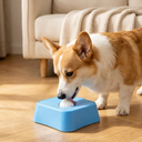 Blue slow feeder bowl with maze grooves for dogs & cats, lifestyle photo