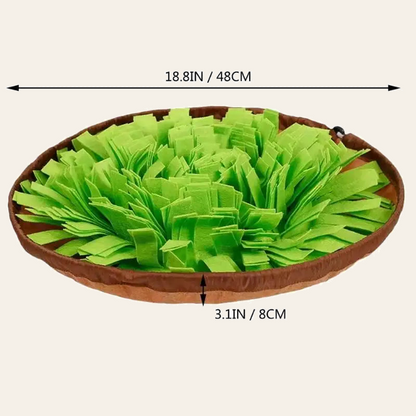 Washable snuffle mat for dogs, foraging and slow feeding — My Petsworth