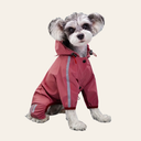 Miniature schnauzer wearing pink waterproof dog raincoat — My Petsworth