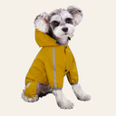 Miniature schnauzer wearing yellow waterproof dog raincoat — My Petsworth
