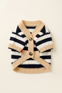 Beige knitted dog cardigan on a cream background