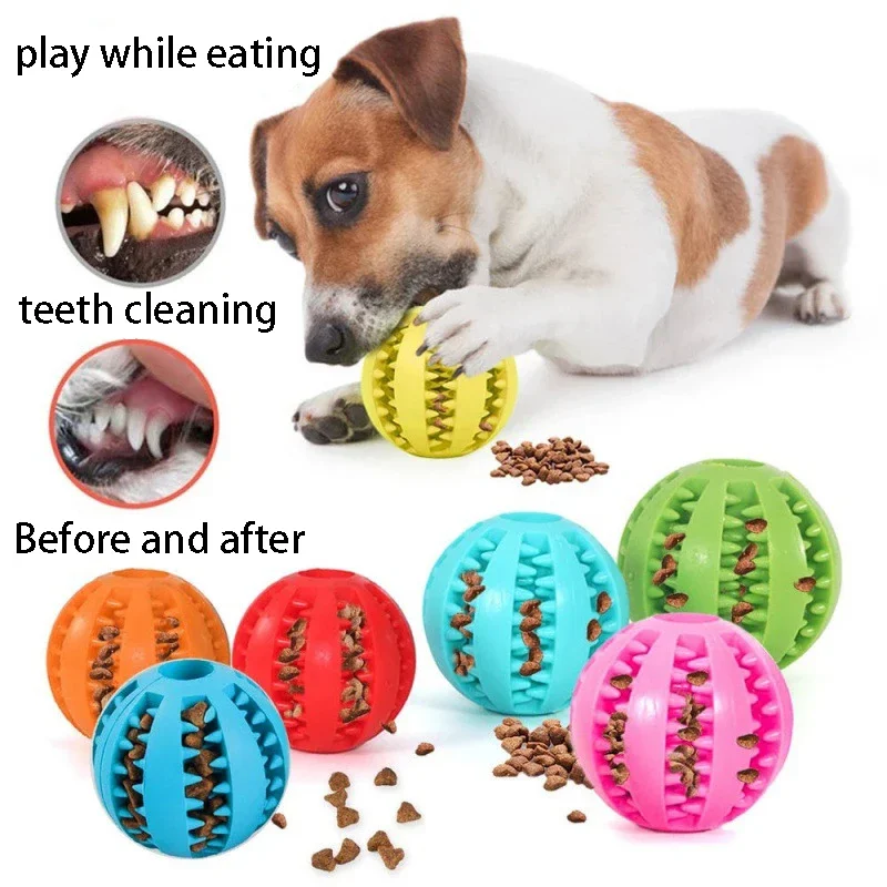 Puppy teething toy ball, treat dispensing rubber chew — My Petsworth