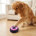 Dog pressing a talking training button at home